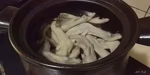 酸蘿蔔鴨掌湯