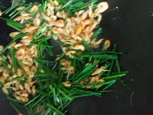 小河蝦炒韭菜心