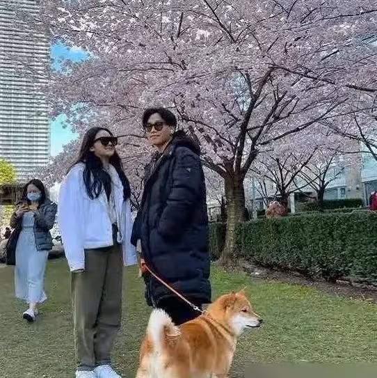 來了,溫哥華!陳坤兒子曬海鮮大餐,生活愜意