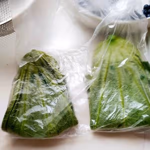 新鮮荷葉保存法