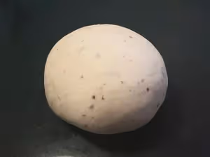 玫瑰牛乳貝果