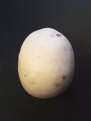 玫瑰牛乳貝果