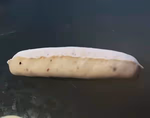 玫瑰牛乳貝果