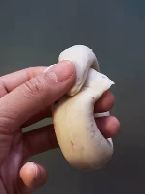 玫瑰牛乳貝果