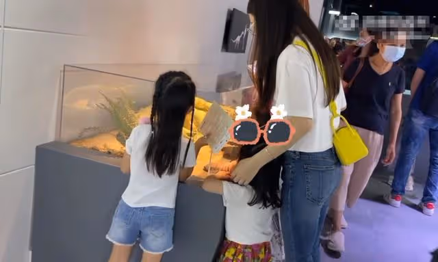 郭富城妻子獨自帶娃逛恐龍館,馬不停蹄趕補習班,方媛露面顯疲憊