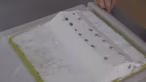 清爽綠色系--開心果青提蛋糕卷