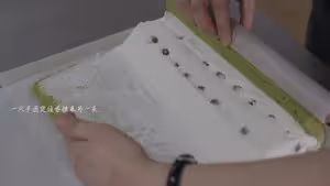 清爽綠色系--開心果青提蛋糕卷