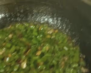 超級下飯的空心菜梗