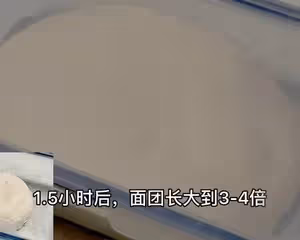 3.5小時快速直接法歐包丨免揉免機打免酵種