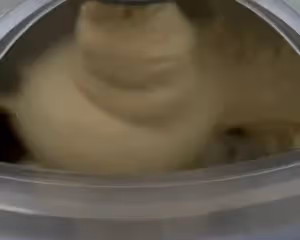 被稱為「世紀發現」的土豆麵包·低油低糖