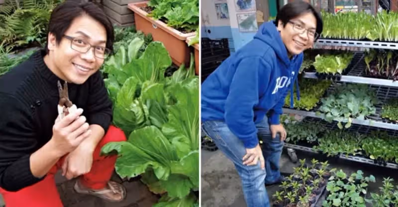 56歲許傑輝珍惜老婆不生小孩「把樓頂變菜園」當城市農夫「自己種菜自己吃」自歎「不僅僅是為吃菜」：是一種慰藉也是一種修行