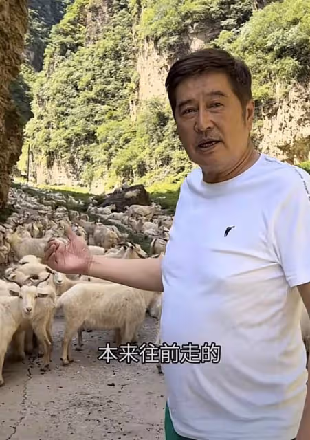 港星林威隱居河北農村,烈日下坐土牆邊乘涼,與村民嘮嗑毫無架子