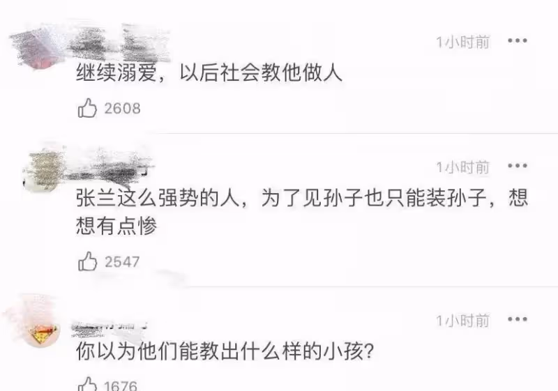 大s育兒絕對寵溺過頭了!兒子和奶奶張蘭視訊通話,下一秒「翻白眼狠摔手機」,網友:教子無方