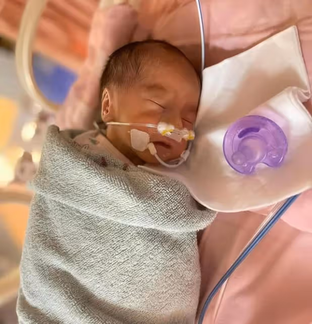 台灣知名主播早產產下龍鳳胎!剖腹產後大出血,經歷6次人工受孕