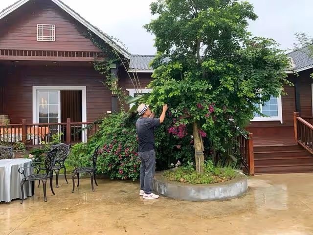 港星李力持移居內地夸交通便利,不到6000元租豪宅,晚年生活幸福