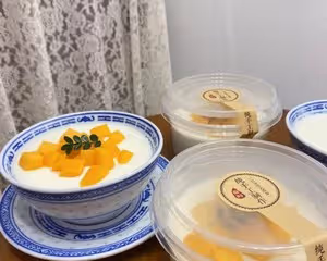 雙皮奶（適用家用，私房開店）