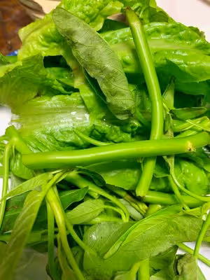 零基礎小白都能輕鬆快手做的超清淡青菜豆腐湯
