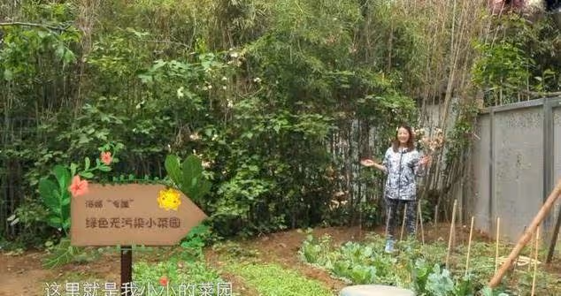 54歲周海媚如今獨居北京,斷絕「七情六慾」?擁有超大菜園自己打理,坦言不用找個男人「妨礙自己」生活