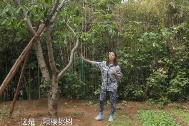 54歲周海媚如今獨居北京,斷絕「七情六慾」?擁有超大菜園自己打理,坦言不用找個男人「妨礙自己」生活