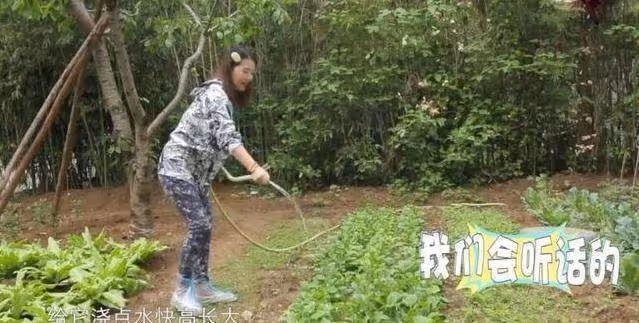 54歲周海媚如今獨居北京,斷絕「七情六慾」?擁有超大菜園自己打理,坦言不用找個男人「妨礙自己」生活