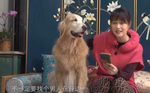 54歲周海媚如今獨居北京，斷絕「七情六慾」？擁有超大菜園自己打理，坦言不用找個男人「妨礙自己」生活