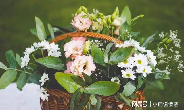 「老婆,知錯了就給婆婆道歉,趕緊做晚飯」「不了,還是離婚吧」