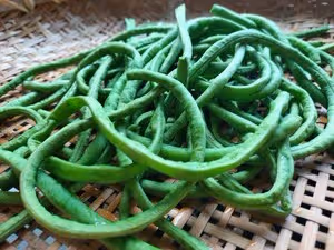 吃起來酸爽開胃又下飯的自製酸豆角