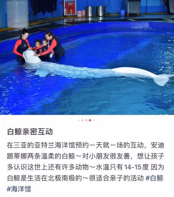陳曉東攜妻女罕現身!老婆凹凸有致素顏仍貌美,倆女兒大眼神似爸