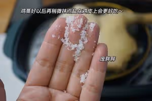 廣東湛江特色美食——隔水蒸雞 原汁原味 雞滑肉嫩