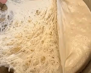野生酵母麵包                           黑豆松子恰巴塔