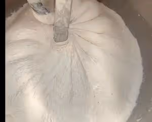 野生酵母麵包                           黑豆松子恰巴塔
