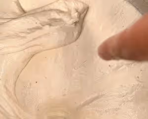 野生酵母麵包                           黑豆松子恰巴塔