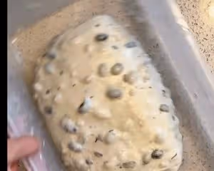 野生酵母麵包                           黑豆松子恰巴塔