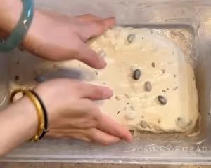 野生酵母麵包                           黑豆松子恰巴塔