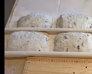 野生酵母麵包                           黑豆松子恰巴塔