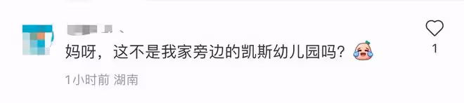 應采兒攜倆子現身長沙,Jasper身高猛長,Hoho疑讀18萬一年幼兒園