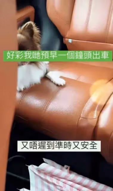 張柏芝為二兒子慶生!12歲Quintus長大成大帥哥,越來越像張柏芝,網友:小正太成小帥哥了!