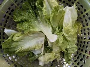 低脂懶人簡單快手菜～涼拌生菜