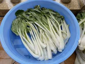 教你百分百成功的腌菜