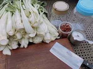 教你百分百成功的腌菜
