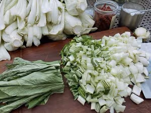 教你百分百成功的腌菜