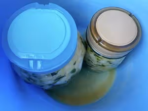 教你百分百成功的腌菜