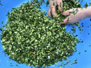 教你百分百成功的腌菜