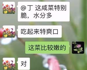 教你百分百成功的腌菜