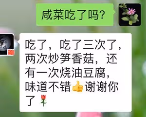 教你百分百成功的腌菜