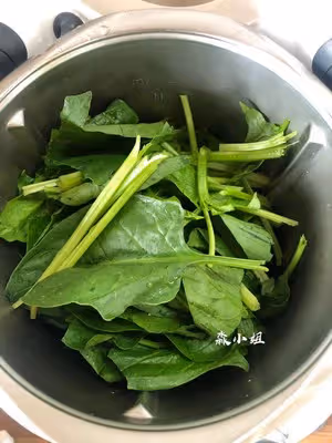 小美無水菠菜面