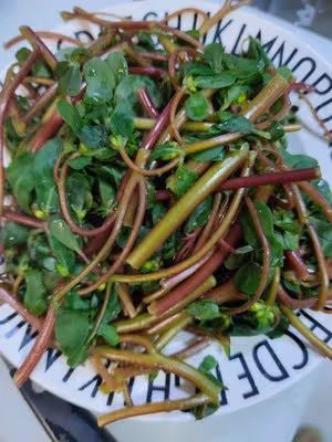 涼拌馬齒菜