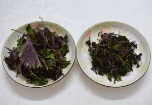 紫蘇燜魚