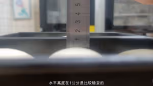 均價10元，月售2萬的手撕吐司，就這？
