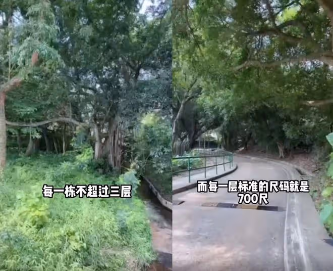顧冠忠夫婦罕秀恩愛!婚後在農村生活愜意,相戀25年無娃仍甜蜜